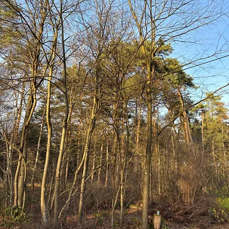 アパート Smart Wald Mit Opt Buchung Wald Sauna Und Jacuzzi Neustadt am Rübenberge