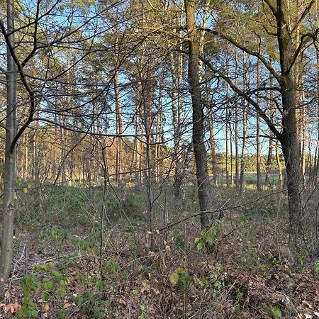 Smart Wald Mit Opt Buchung Wald Sauna Und Jacuzzi Appartamento