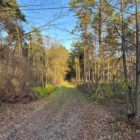 Smart Wald Mit Opt Buchung Wald Sauna Und Jacuzzi * Neustadt am Rübenberge