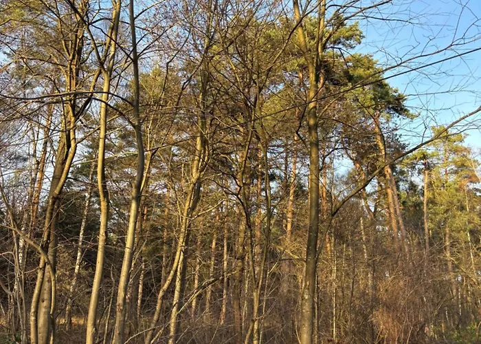 דירה Smart Wald Mit Opt Buchung Wald Sauna Und Jacuzzi Neustadt am Rübenberge