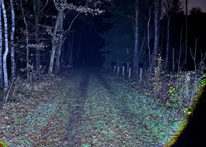 Smart Wald Mit Opt Buchung Wald Sauna Und Jacuzzi Neustadt am Rübenberge