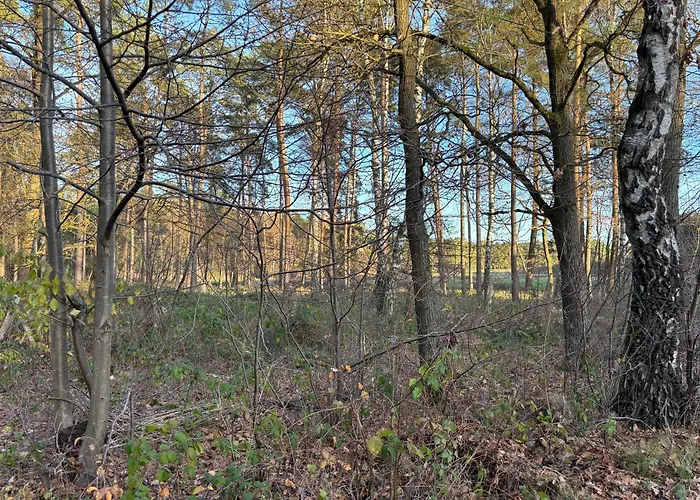 Smart Wald Mit Opt Buchung Wald Sauna Und Jacuzzi Appartamento