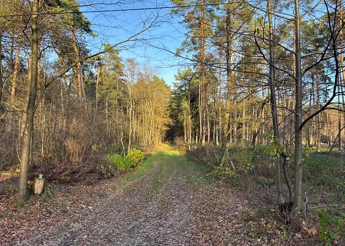 Smart Wald Mit Opt Buchung Wald Sauna Und Jacuzzi * Neustadt am Rübenberge